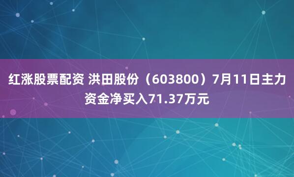 红涨股票配资 洪田股份（603800）7月11日主力资金净买入71.37万元