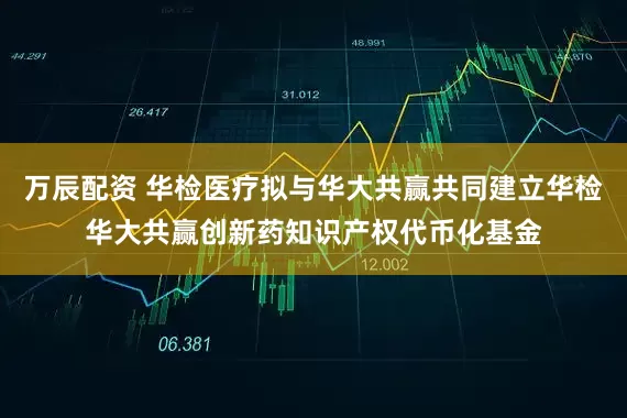 万辰配资 华检医疗拟与华大共赢共同建立华检华大共赢创新药知识产权代币化基金